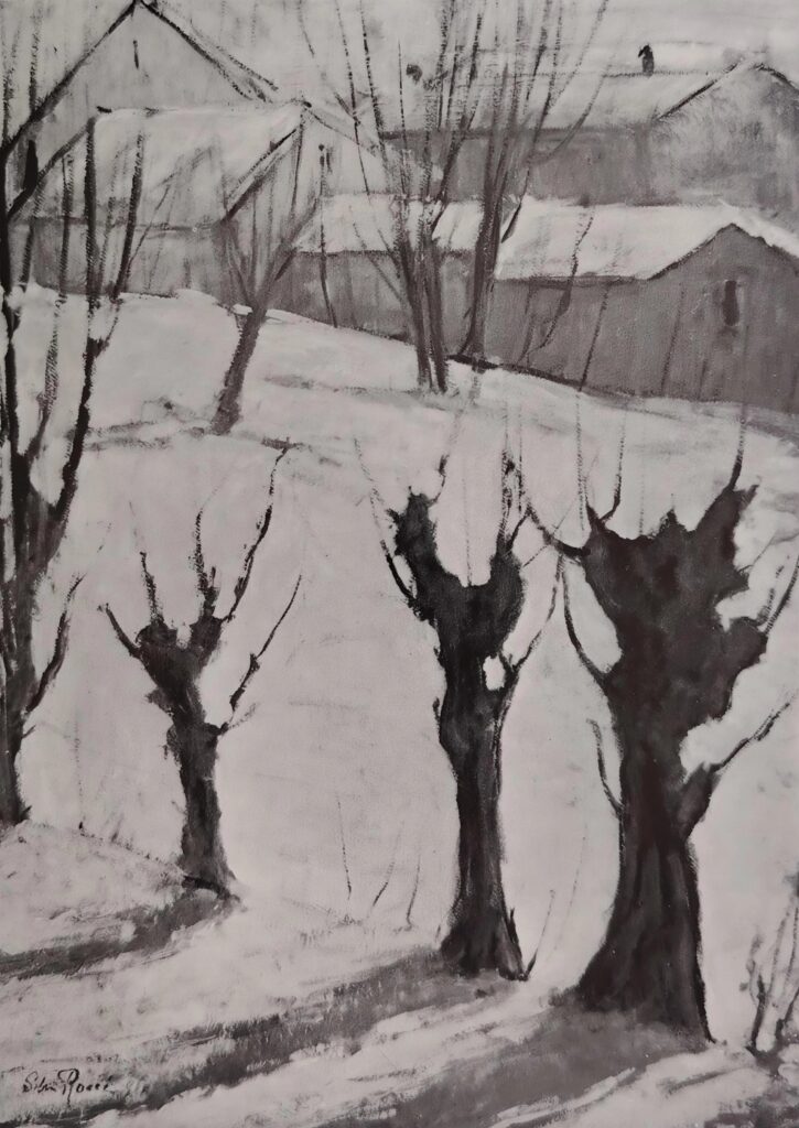 Controluce d'inverno